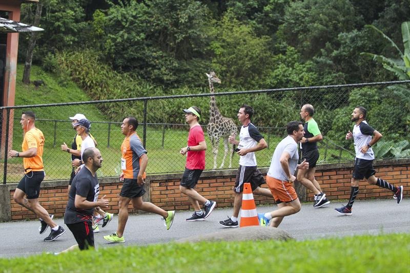 ZooRun faz atletas correrem dentro do Zoológico de Curitiba