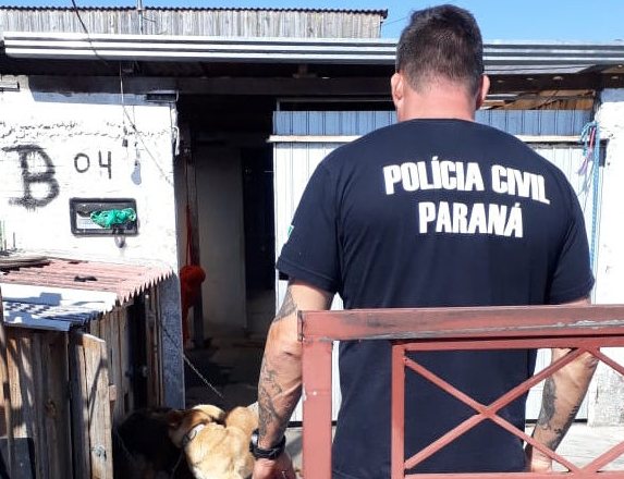 Polícia resgata dez cães em situação de maus-tratos na Capital