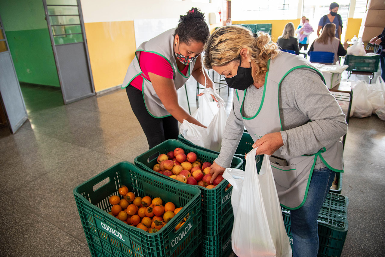 33 toneladas de hortaliças foram distribuídas a 6 mil alunos da rede municipal