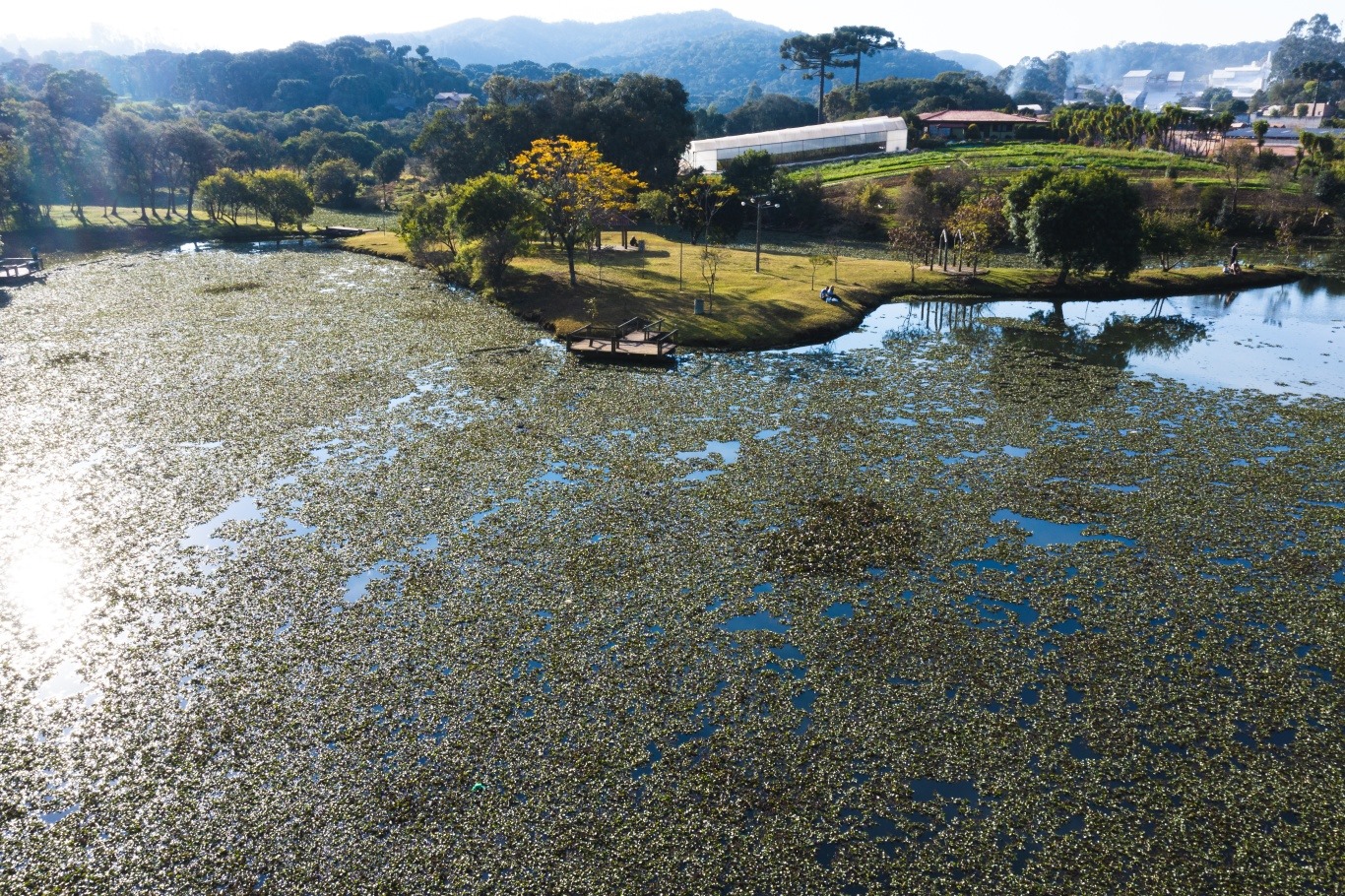 Meio Ambiente programa limpeza do Lago Tumiri