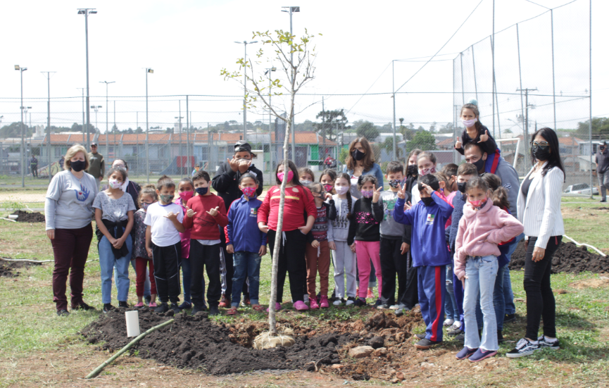 100 árvores em 1 minuto: praça na Vila Zumbi recebe bosque