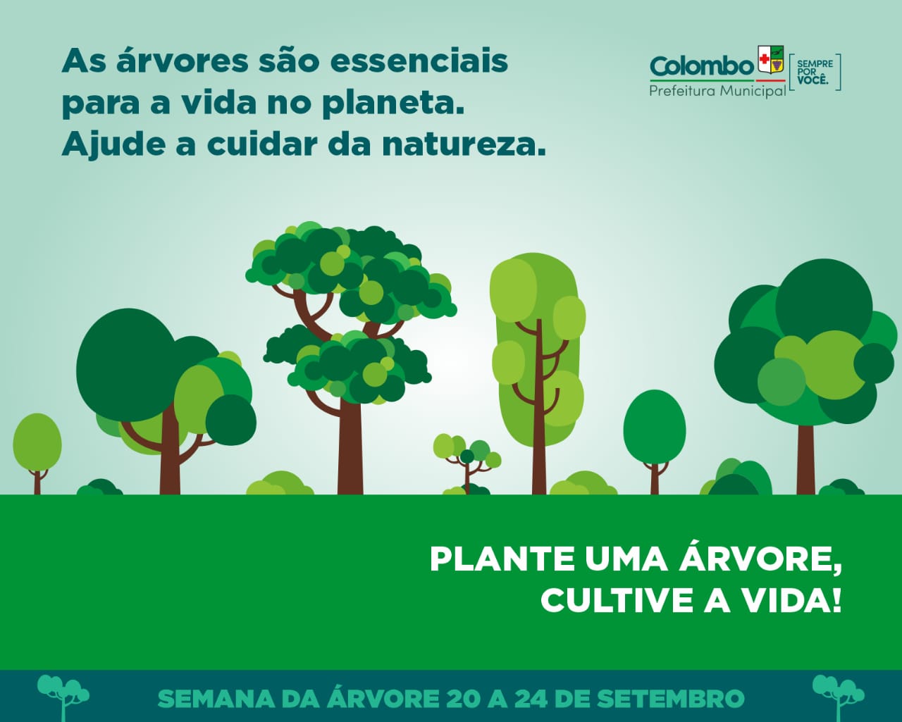 Meio Ambiente promove Semana da Árvore